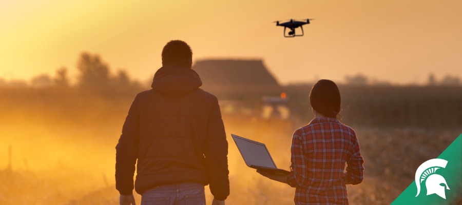 Two individuals flying drone above an agricultural field. 