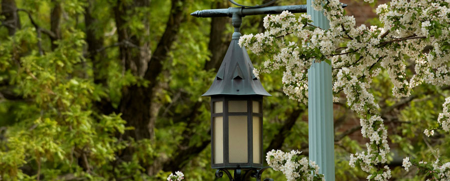 Lamppost on the campus of MSU