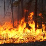 Fire Behavior and Smoke Dispersion in Forested Environments: Don't Ignore Turbulent Fluxes of Heat and Momentum
