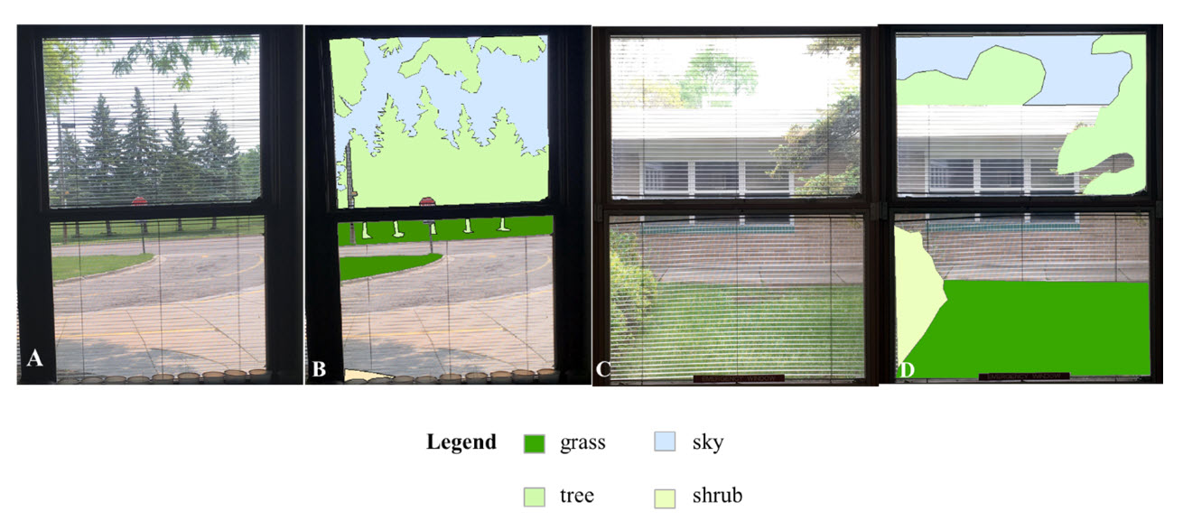 Examples of original images from classroom (A,C) and images with quantified nature as polygons (B,D).
