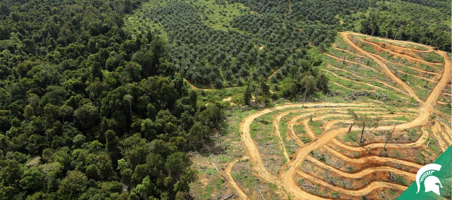 Aerial image depicting land use change