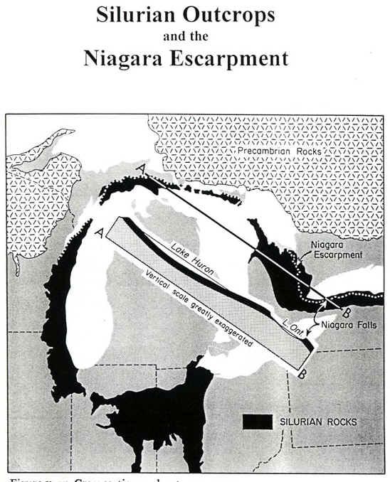 silurian outcrops and niagara escarpment.JPG (109413 bytes)