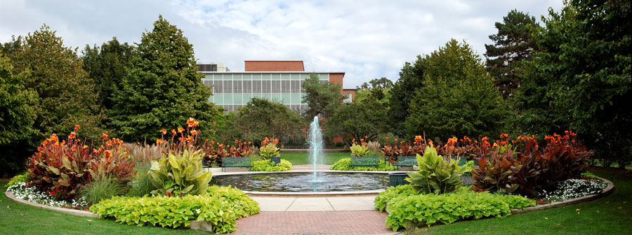 Fountain on MSU Campus