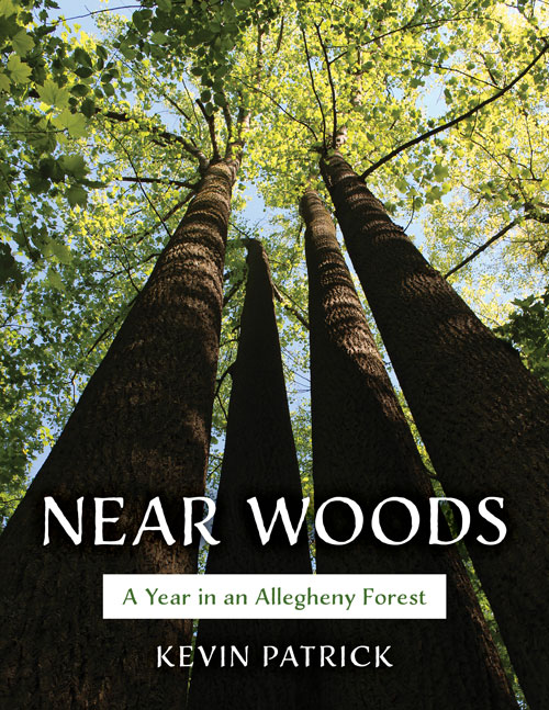 Cover of "Near Woods" by Kevin Patrick