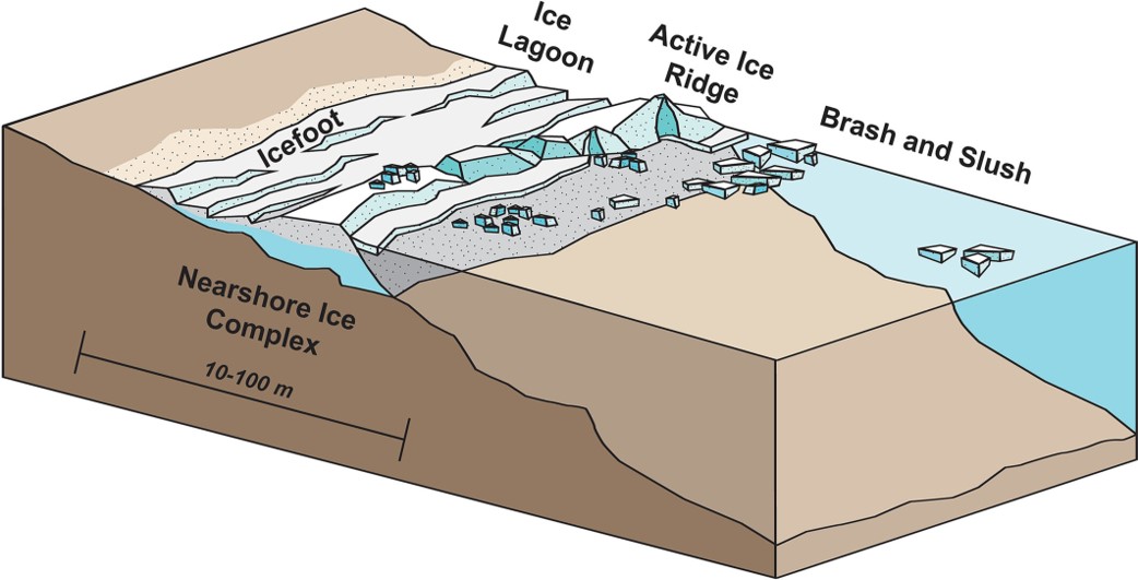 Figure 1 Conceptual diagram of the components of the nearshore ice complex (NIC).