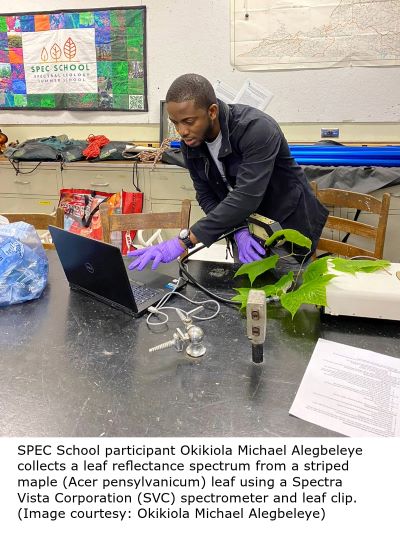 SPEC School participant Okikiola Michael Alegbeleye collects a leaf reflectance spectrum from a striped maple (Acer pensylvanicum) leaf using a Spectra Vista Corporation (SVC) spectrometer and leaf clip. (Image courtesy: Okikiola Michael Alegbeleye)