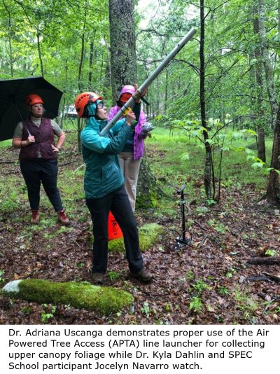 Dr. Adriana Uscanga demonstrates proper use of the Air Powered Tree Access (APTA) line launcher for collecting upper canopy foliage while Dr. Kyla Dahlin and SPEC School participant Jocelyn Navarro watch.
