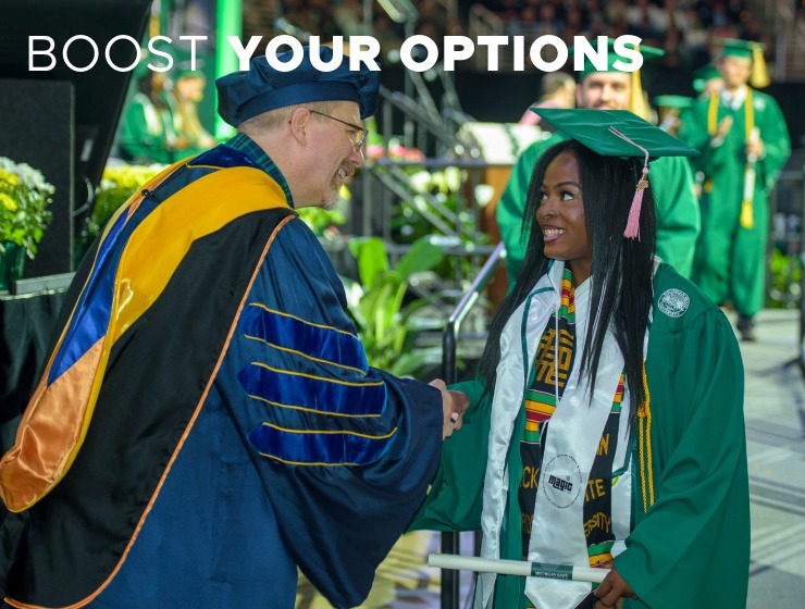 Image of graduate and professor shaking hands at graduation