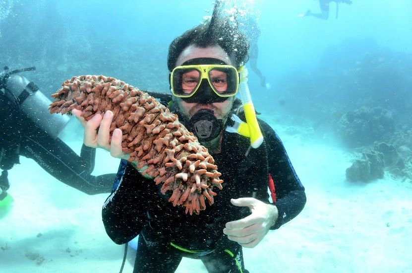 Summer Sports Down Under, Australia. Holding a sea cucumber—scuba diving with my ISS 310 People and Environment class off Cairns, the Great Barrier Reef. 
