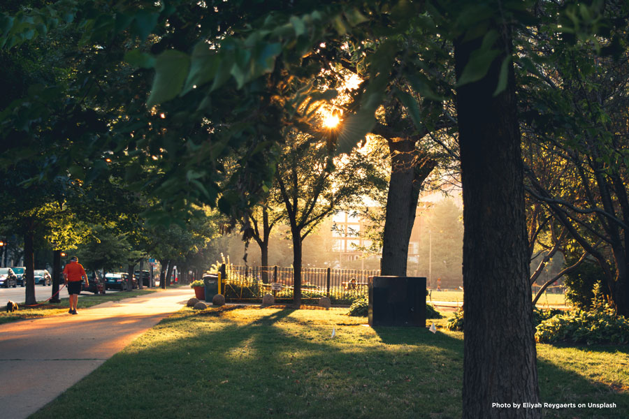 Chicago park; Photo by Eliyah Reygaerts on Unsplash